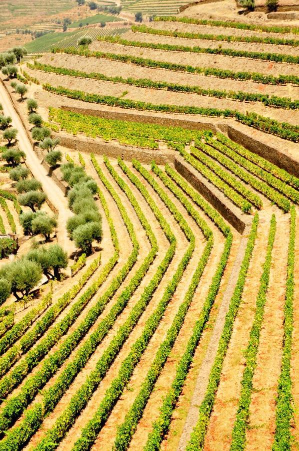 Casas De Pousadouro Vendégház Baião Kültér fotó